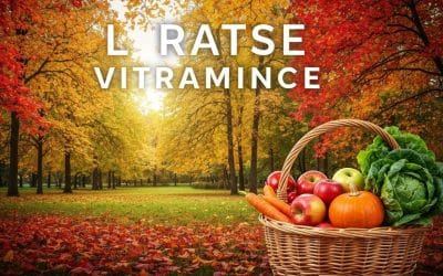 Automne : boostez Votre Santé avec des Vitamines
