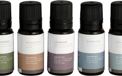 Test : mr.  Vapeur MS Essential 5 Aromasteam huiles essentielles