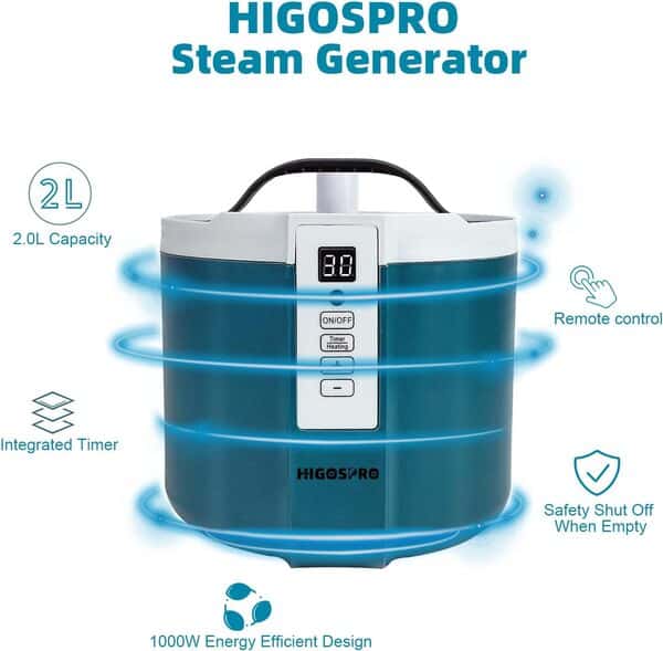 Générateur de sauna portable de 2 L pour sauna, machine à vapeur de fumigation 1000 W, affichage de minuterie de 90 minutes et télécommande