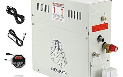 Test du générateur vapeur 4, 5 kW pour douche 220V